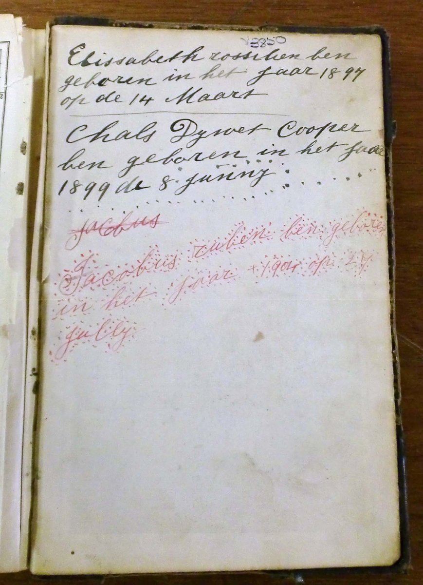 BIB-Potch-V3850_WEWEGE-COOPER_04