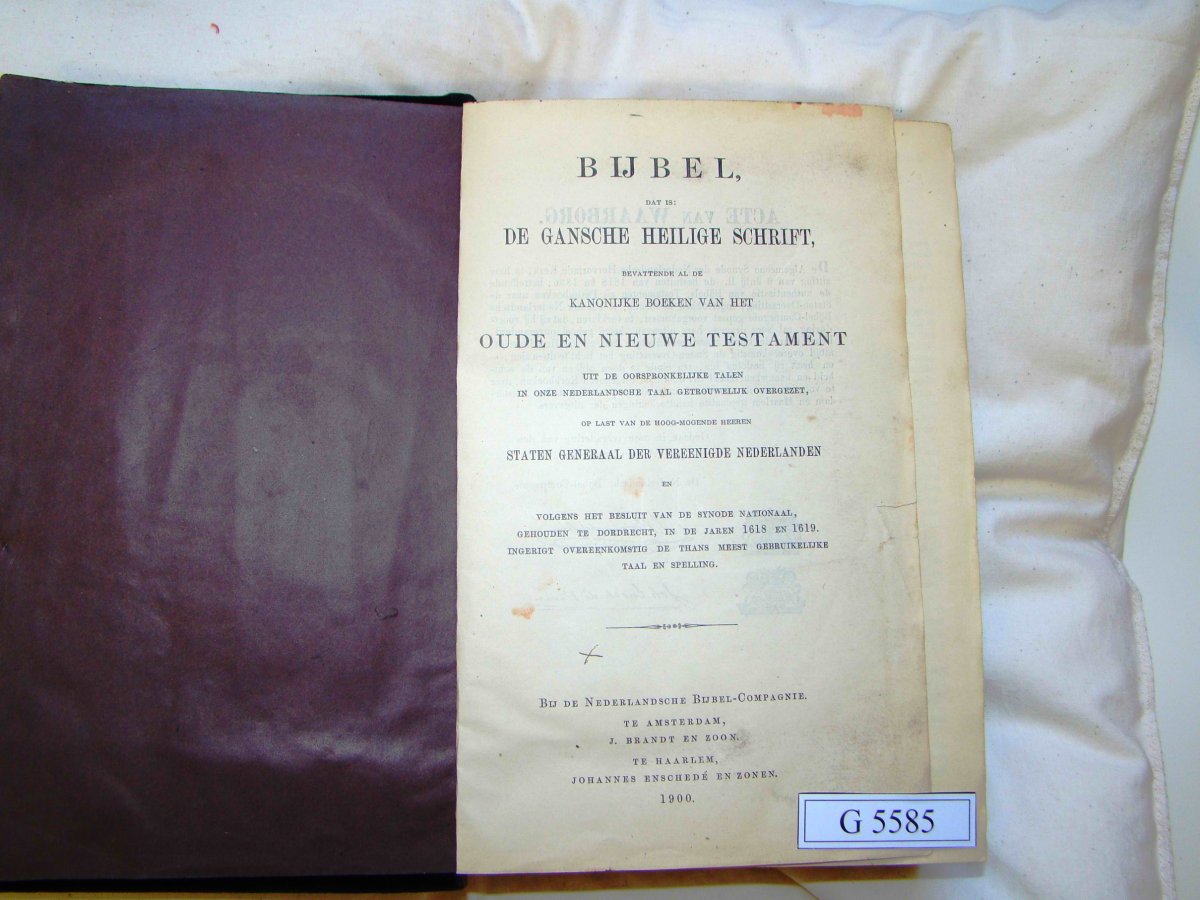 NM-Bftn-G-5585_VAN-DER-MERWE-DE-BEER_03
